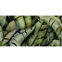 Декор Paradyz Classica Natura 30x60 glass inserto leaf B